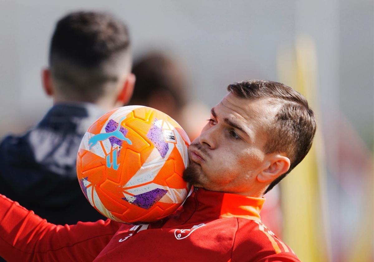 El granada recupera a boyé pero no a neva y stoichkov | ideal