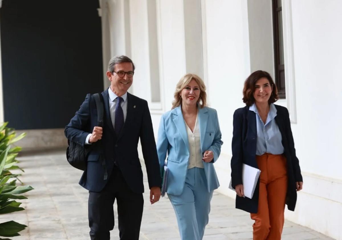 La primera estimación de la junta apunta a una pérdida de 239 millones de euros por el apagón | ideal
