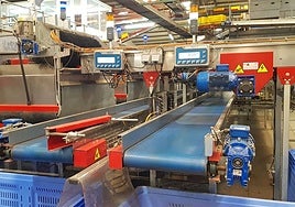 Sobrecoste en el manipulado de Almería por el festivo para satisfacer los pedidos atrasados