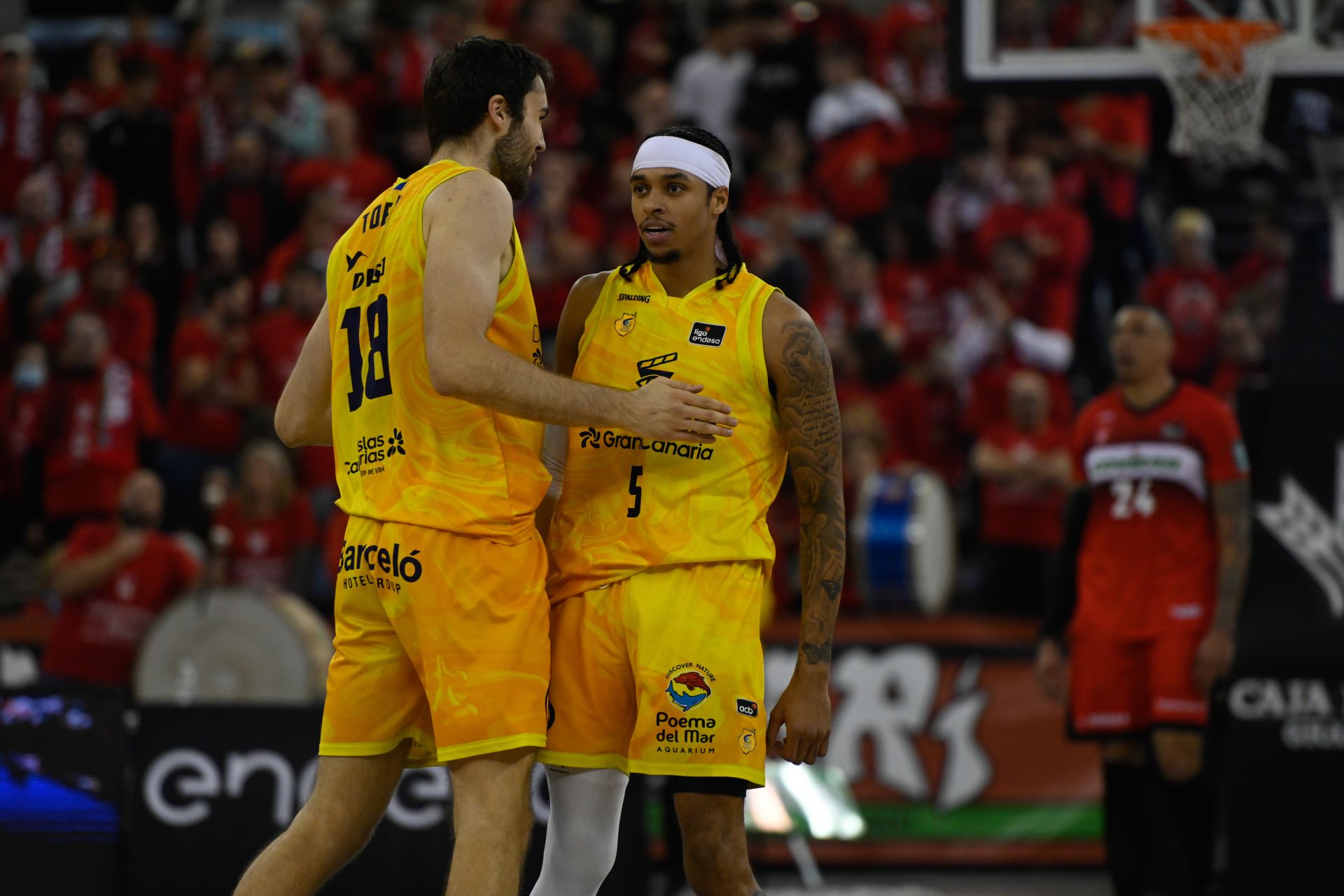 El gran canaria recibirá al covirán con poco margen de error para el 'play off' | ideal