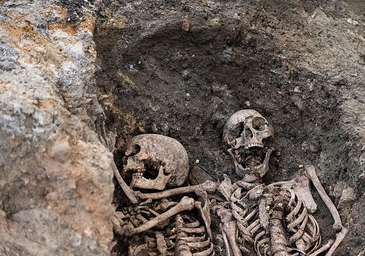 Imagen principal - Fosa 28. 