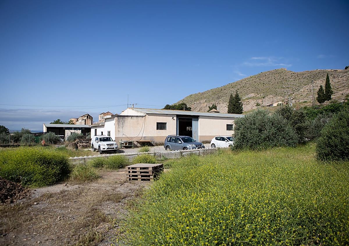 Imagen secundaria 1 - Diferentes localizaciones de la campaña de 2025. 