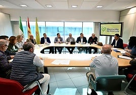 Reunión del comité de emergencias de Diputación ante el apagón del lunes.