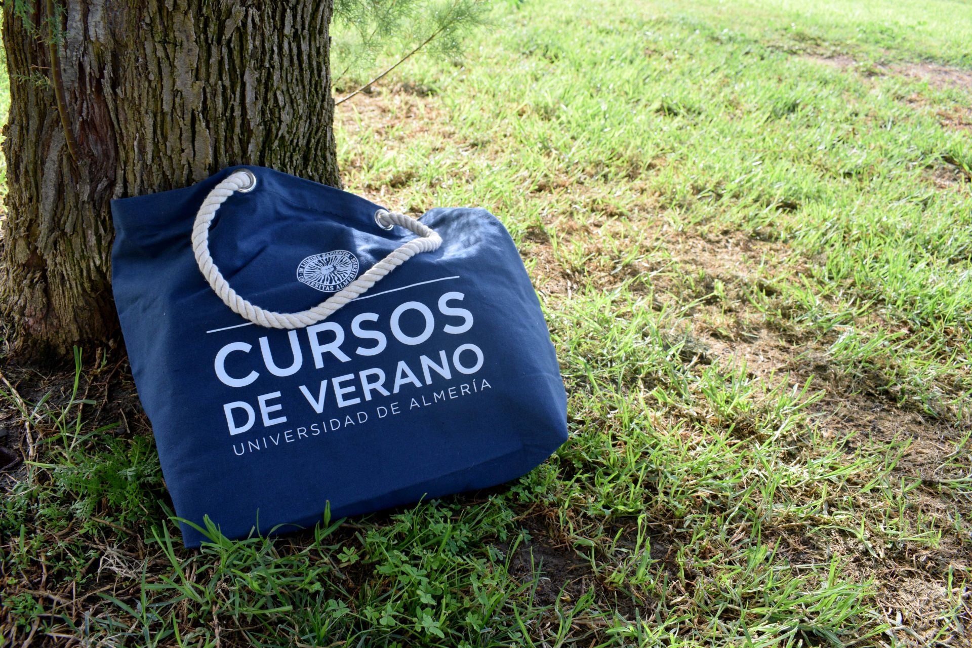 Un verano repleto de cursos en la ual | ideal