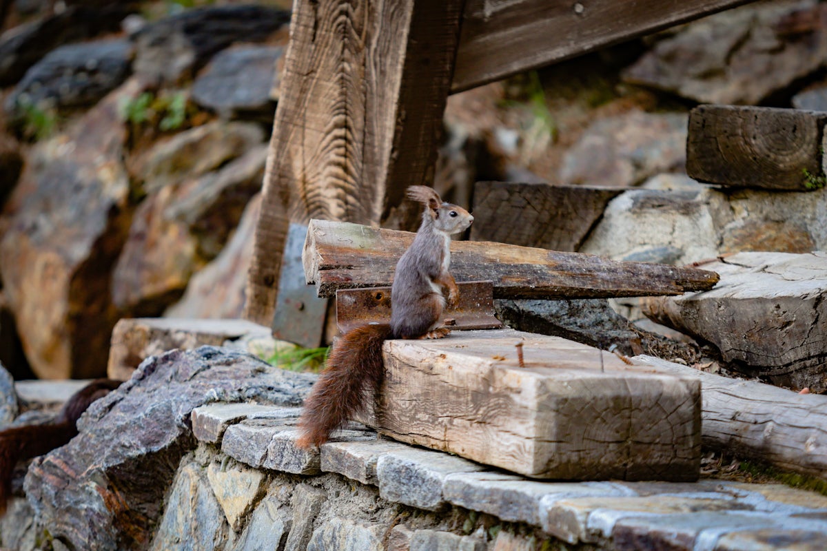 El último día de la temporada en Sierra Nevada, en imágenes