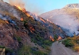 Bomberos trabajan en la zona afectada por las llamas.