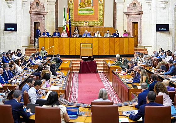 El grupo de trabajo del Parlamento sobre violencia de género encara su recta final