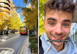 Un turista se queja del mal olor en Granada.