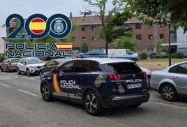 Violento saqueo con un táser a un hombre y su cuidadora en una casa del centro de Granada
