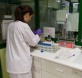 Imagen de archivo de un análisis de coprocultivo.