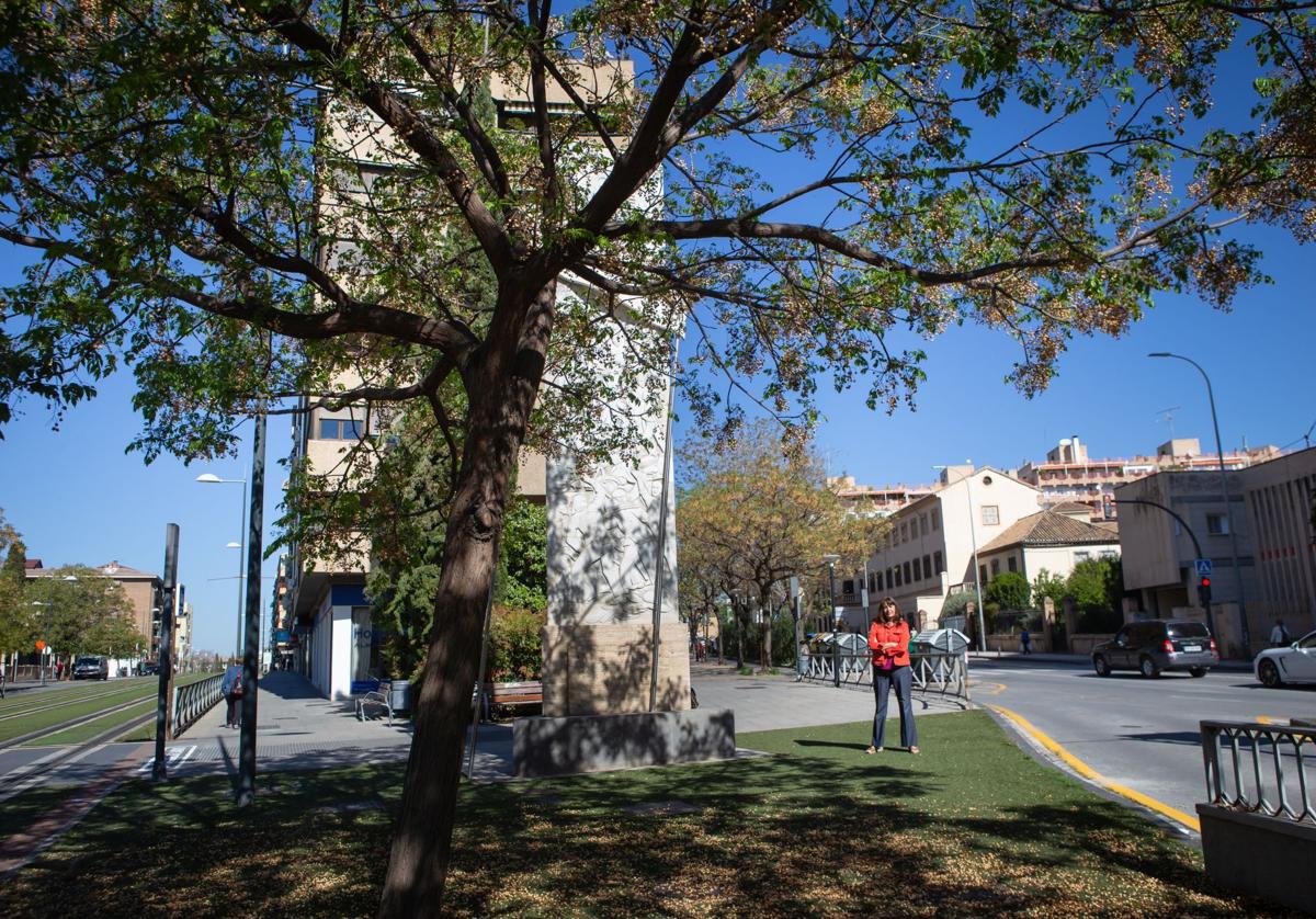 El monumento 'invisible' de la caleta de granada | ideal