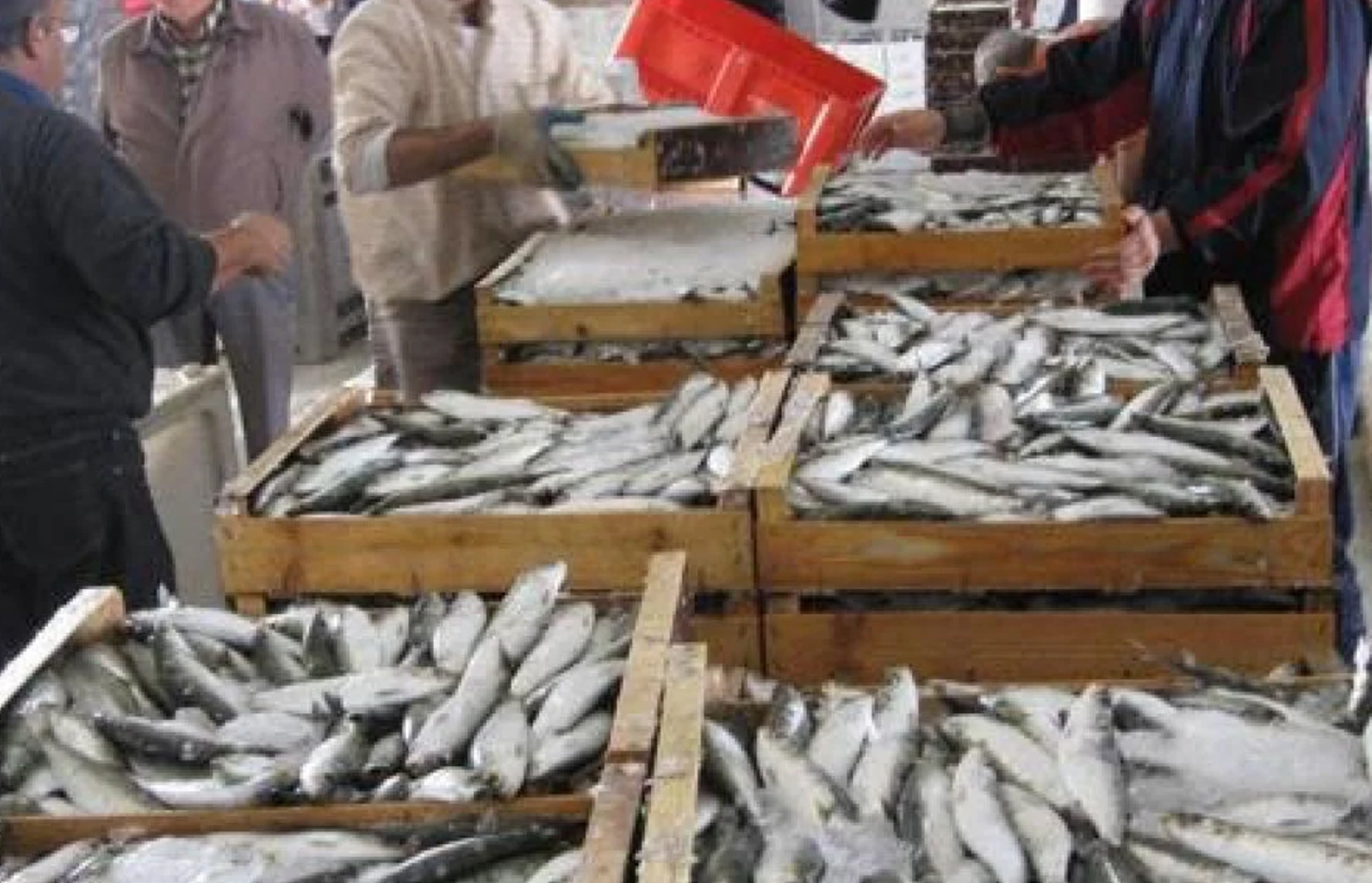 La pesca es una actividad ligada a la historia de Garrucha.