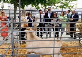 Feria de ganado de La Carolina.