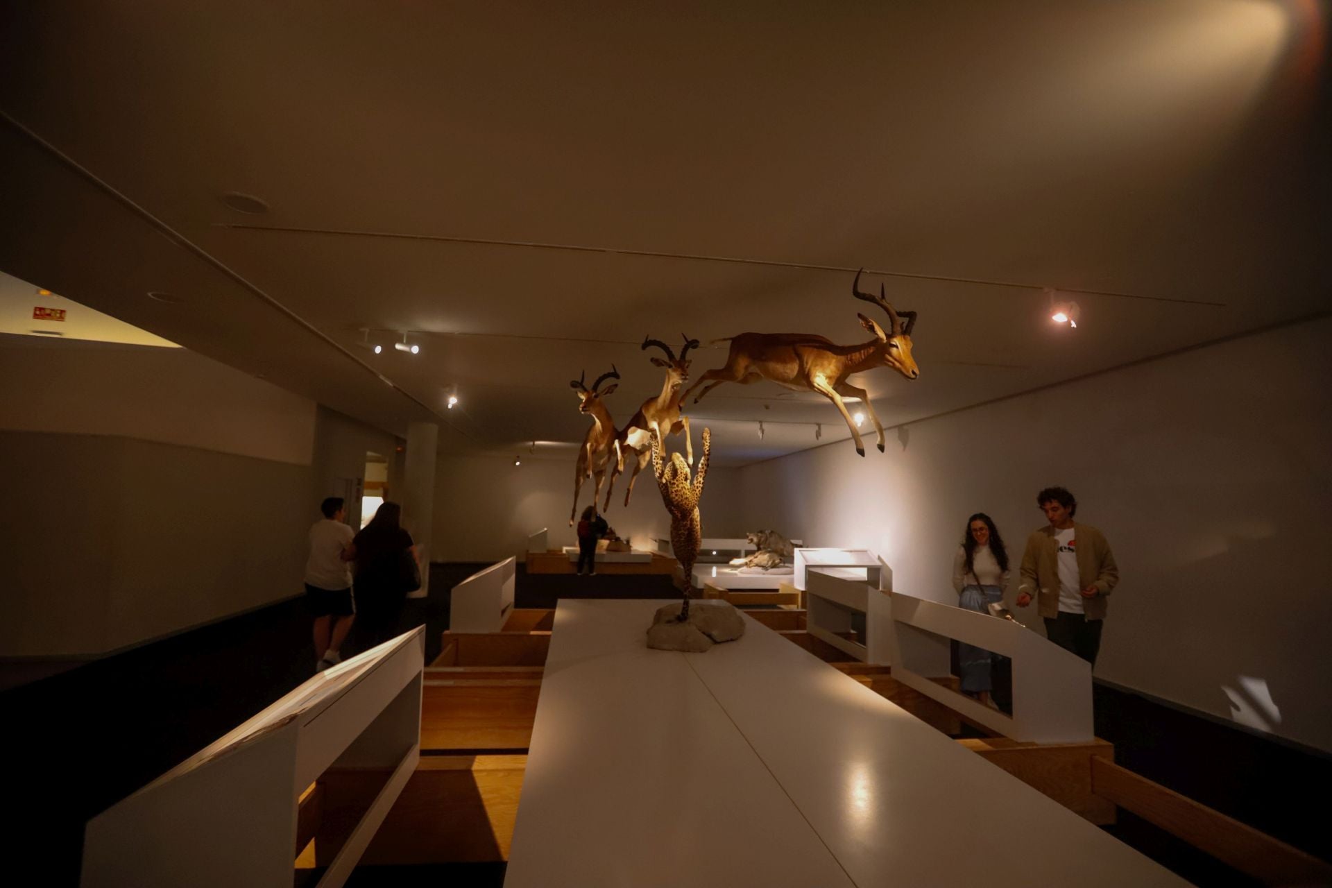 Las mejores imágenes de la fiesta del Parque de las Ciencias en su 30 aniversario