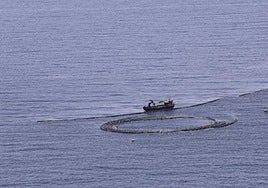 La economía azul combina actividades económicas vinculadas al mar y sus recursos.