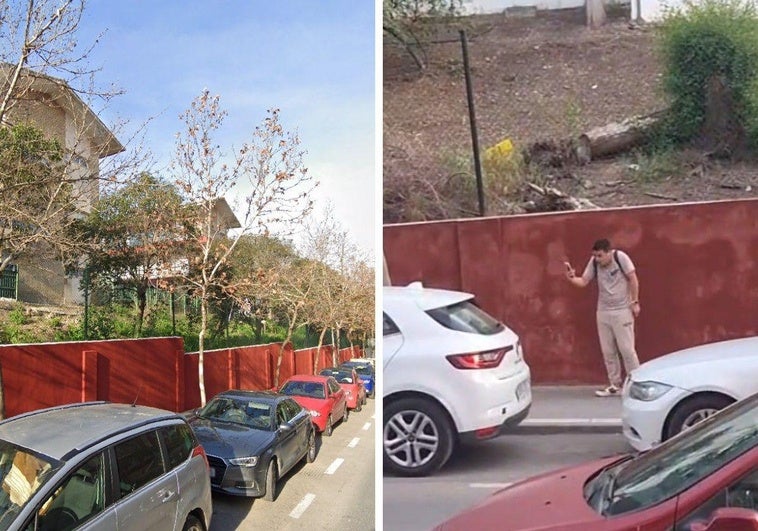 Aluvión de ataques de pájaros a personas en este pueblo andaluz