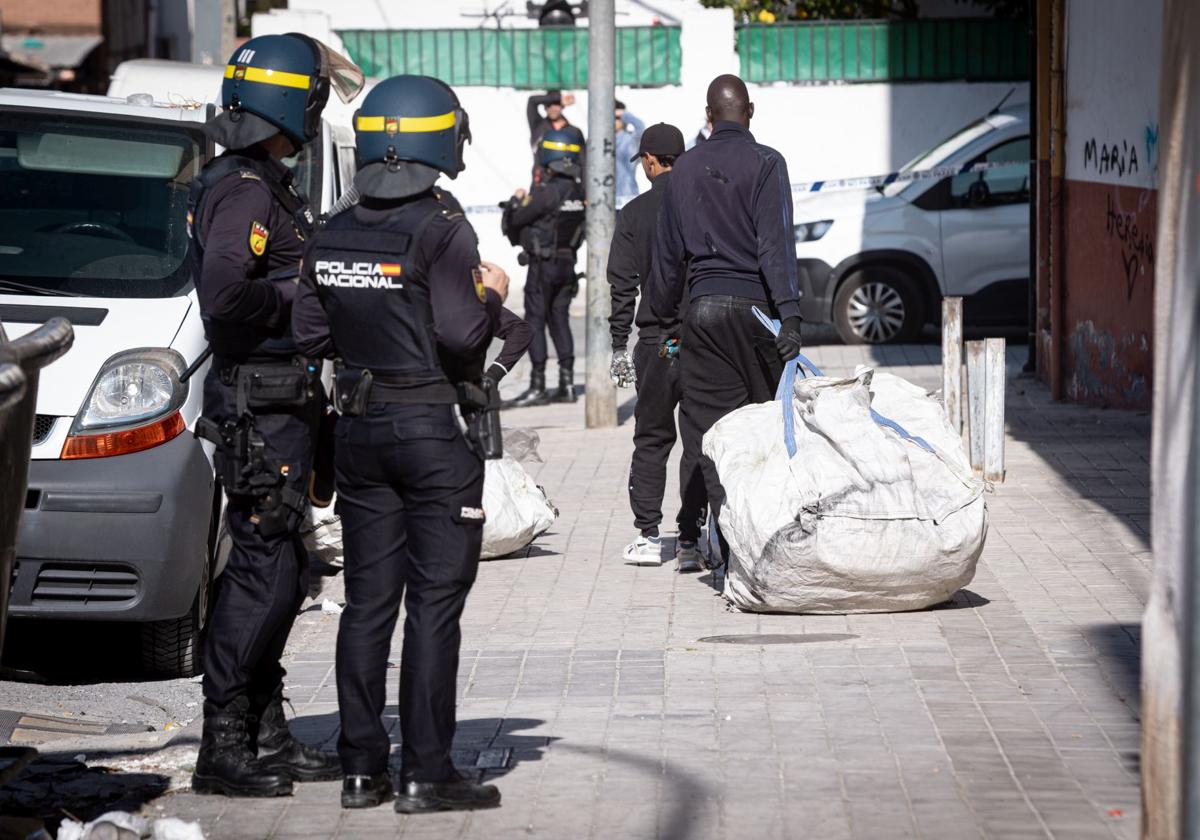La policía nacional incauta 3. 600 plantas en una redada contra la marihuana en el hotel luz | ideal