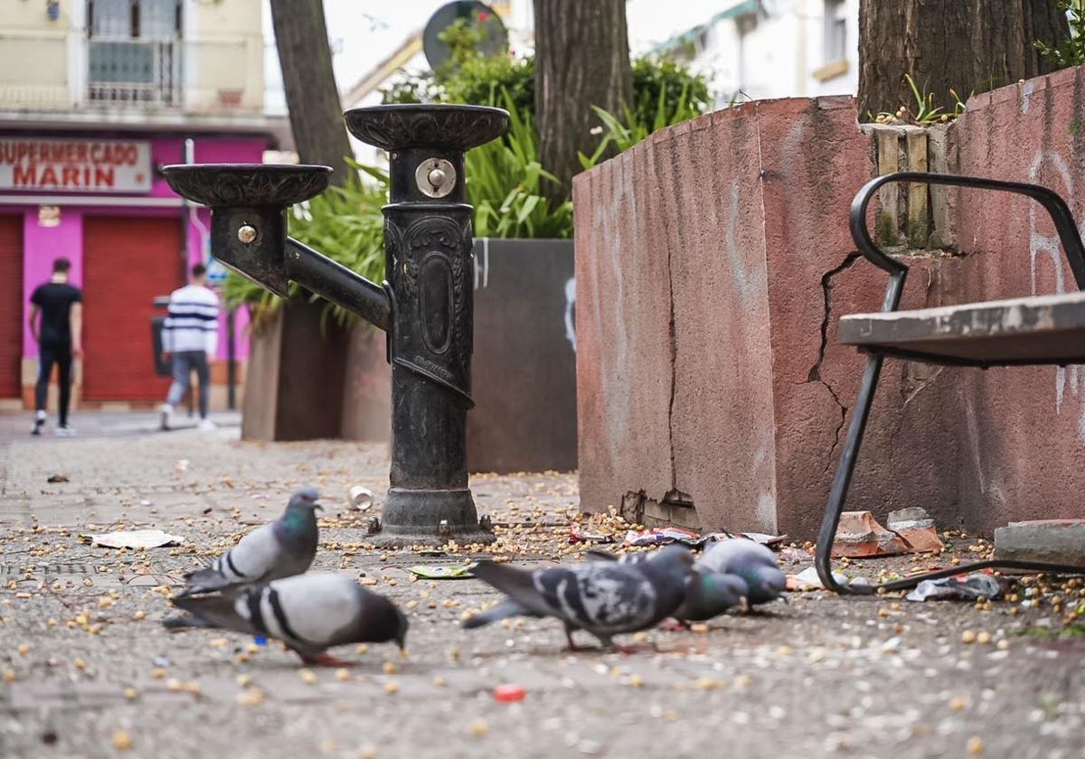 Cuatro años de prisión por intentar matar a tiros a un hombre en pleno barrio de la chana | ideal