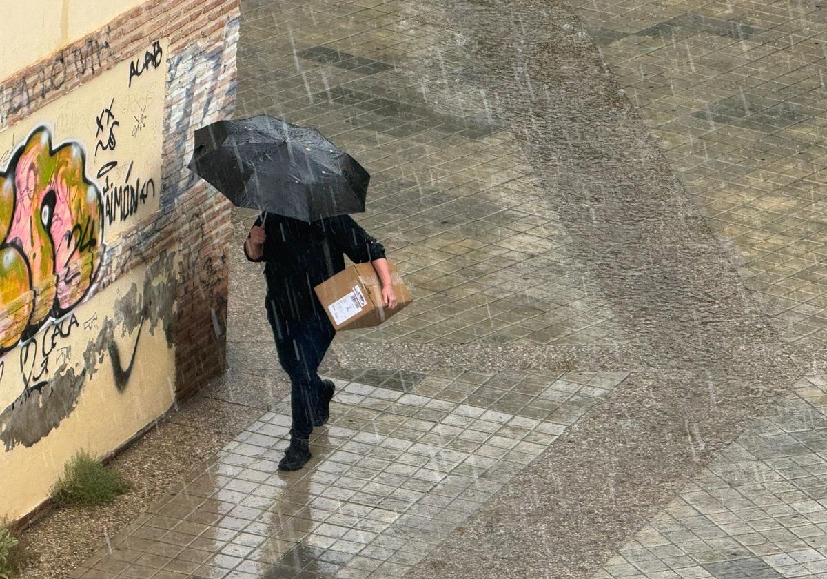 Una fuerte granizada sorprende en granada capital | ideal