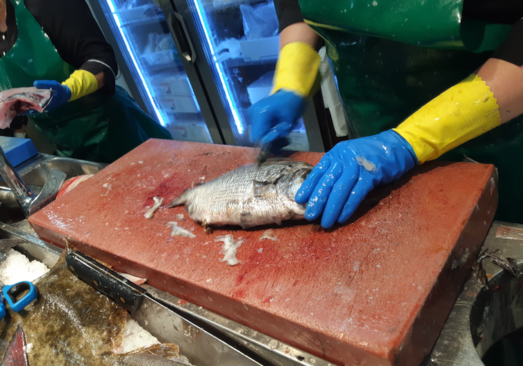 «Riesgo serio» de alerta alimentaria por un alto nivel de mercurio en pescado en España