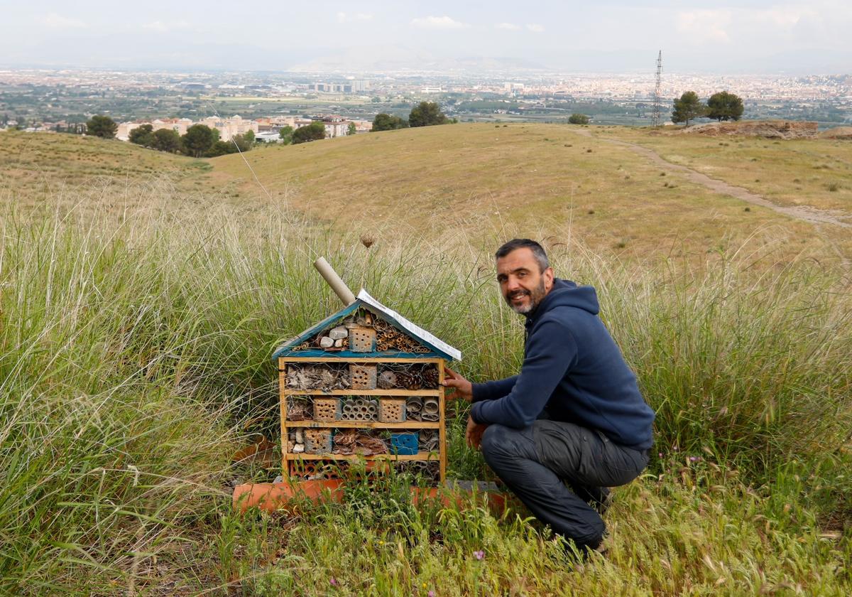 Un hotel para que los bichos se sientan como en casa | ideal
