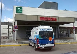 Ambulancia a las puertas de las urgencias del hospital de Loja