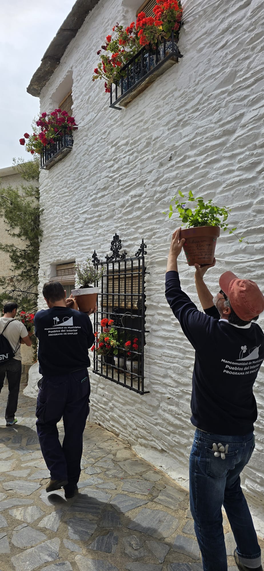 La ruta literaria de flores y poemas de Velefique, en imágenes