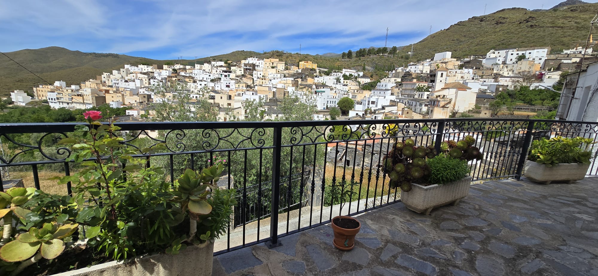 La ruta literaria de flores y poemas de Velefique, en imágenes