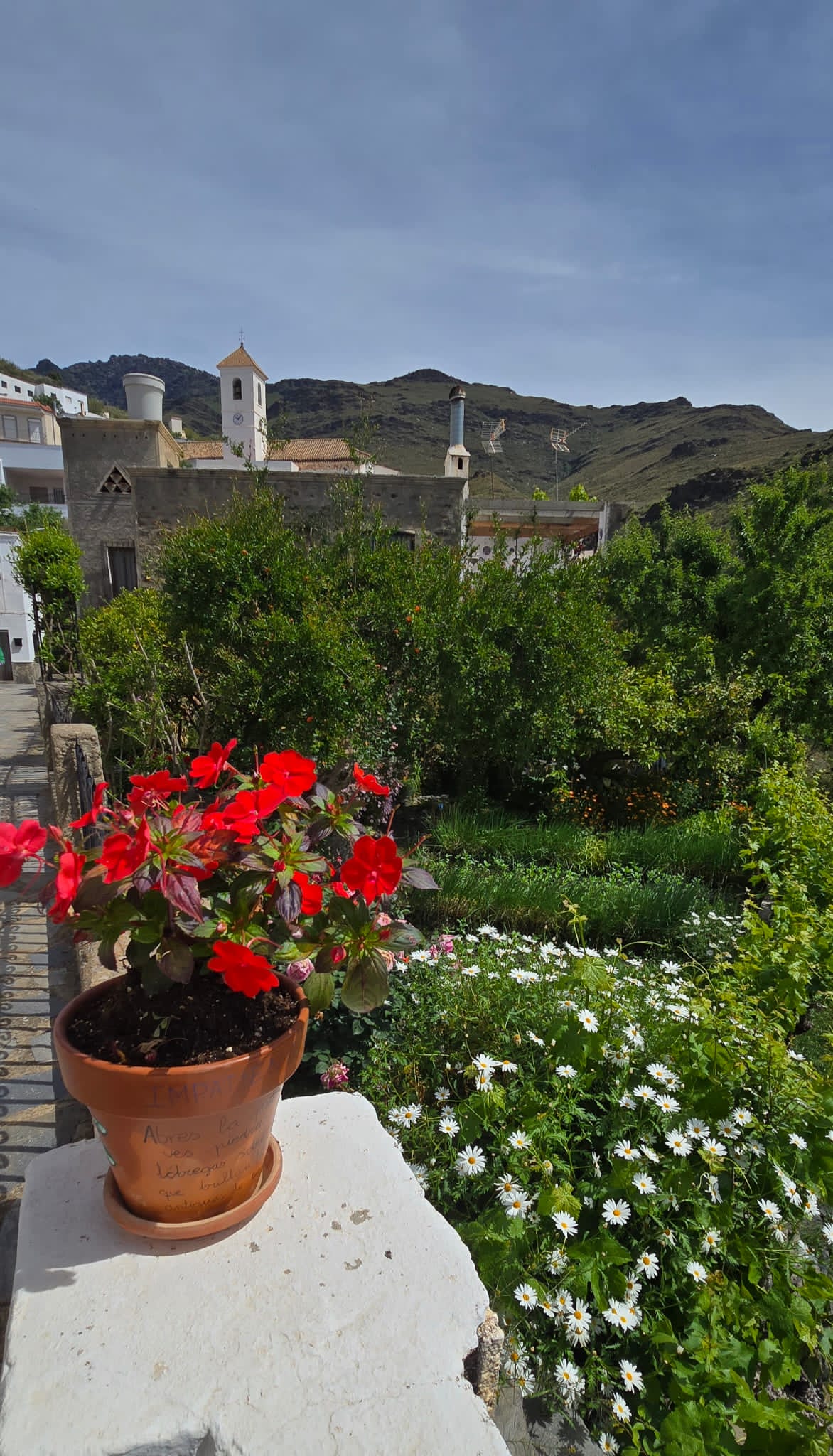 La ruta literaria de flores y poemas de Velefique, en imágenes