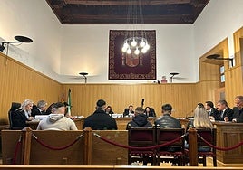 Imagen del juicio en la Audiencia Provincial.