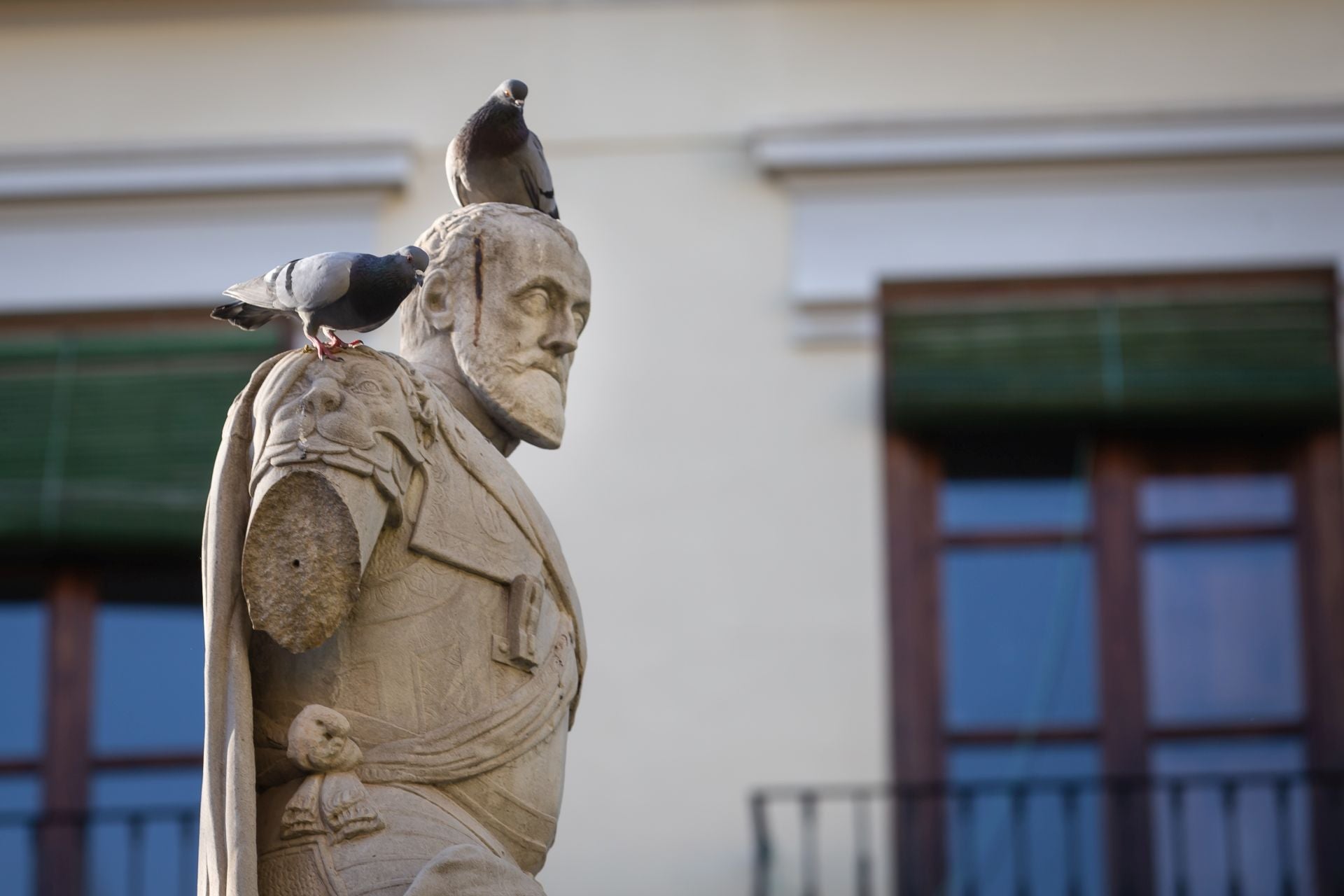 Carlos V, sin su brazo derecho y dos palomas sobre su cabeza, en la plaza de la Universidad.