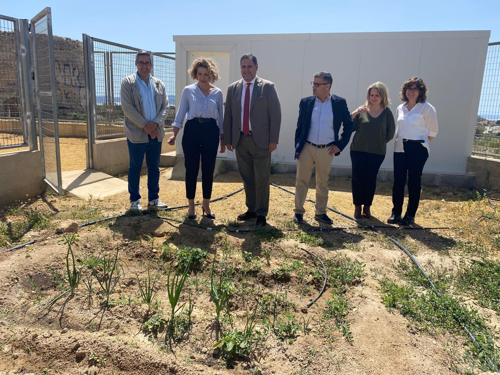 Una radio en la escuela: más de 300 colegios de almería innovan con un plan de aprendizaje colaborativo | ideal