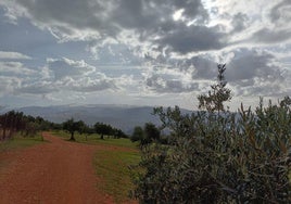 Ruta de acceso al Llano de la Perdiz.