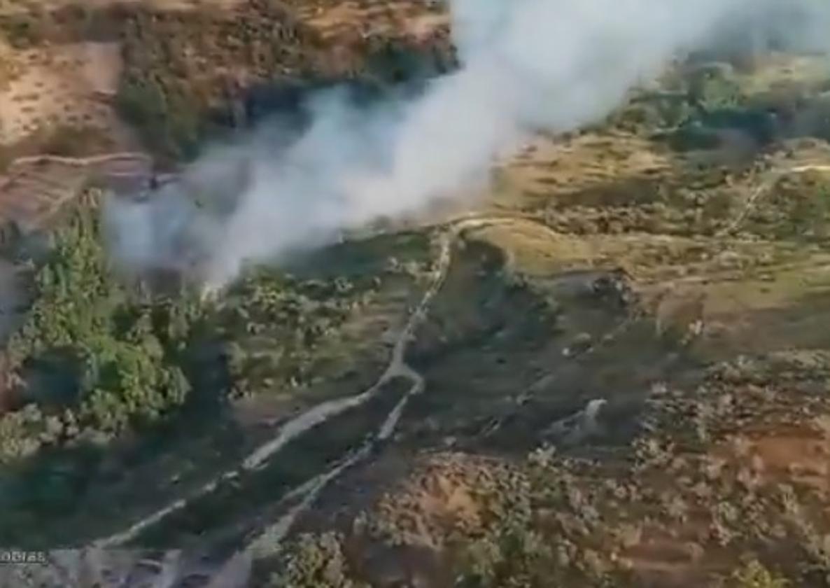 El infoca trabaja para extinguir un incendio forestal en cádiar | ideal