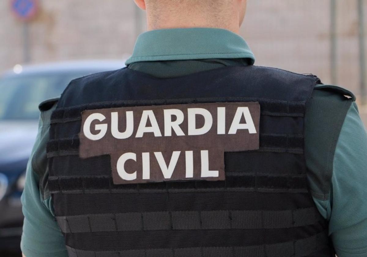 Un conocido ladrón de guadix saquea multitud de coches durante la feria del vino | ideal