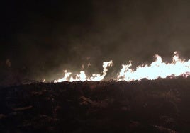 Un rayo provoca un incendio forestal en un paraje de Bédmar
