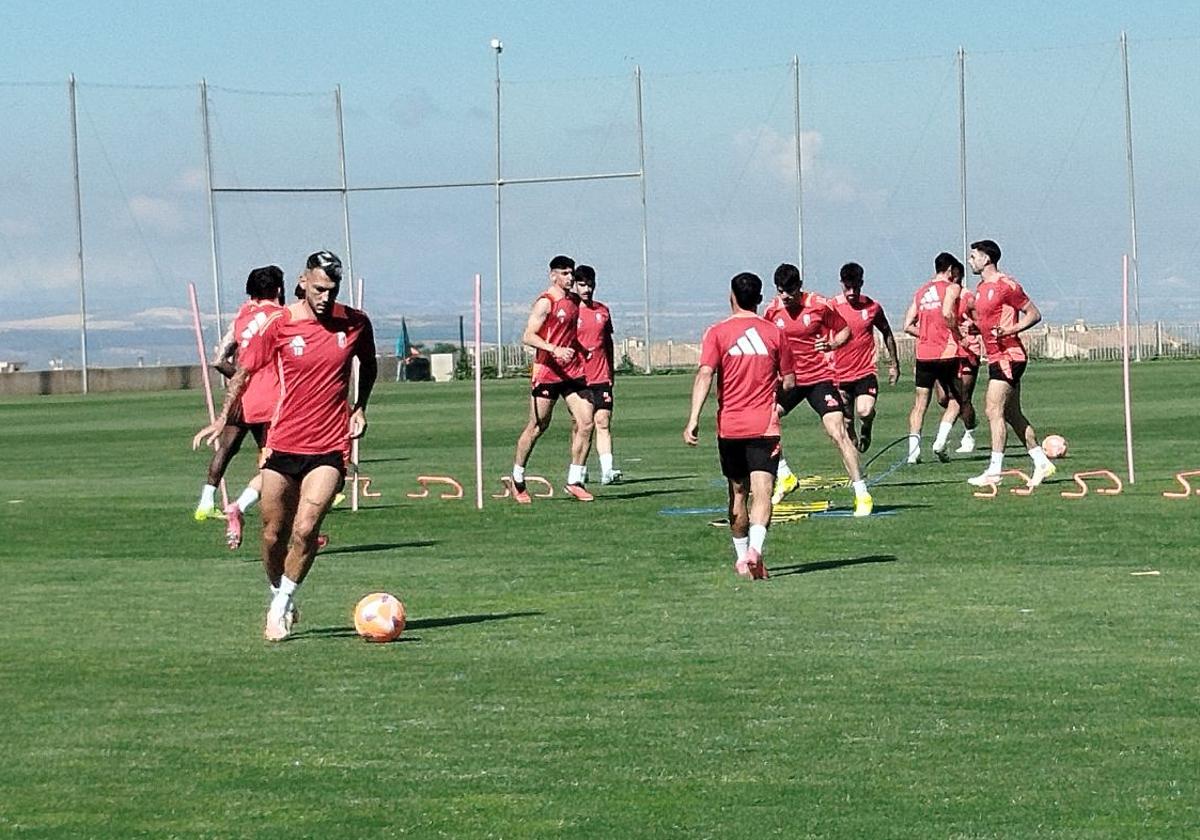 Stoichkov volverá a la convocatoria contra el castellón | ideal
