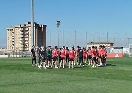 Los futbolistas del Granada escuchan las indicaciones de Pacheta antes de su penúltimo entrenamiento previo a la visita del Castellón.