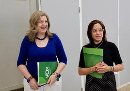 Vox declara la guerra al proyecto de zona de bajas emisiones