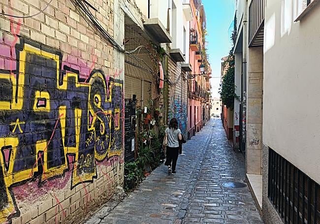 Grafiti y jardín en el Callejón del Señor.