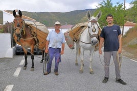 El último mulero de un pueblo de Granada que perdura la tradición
