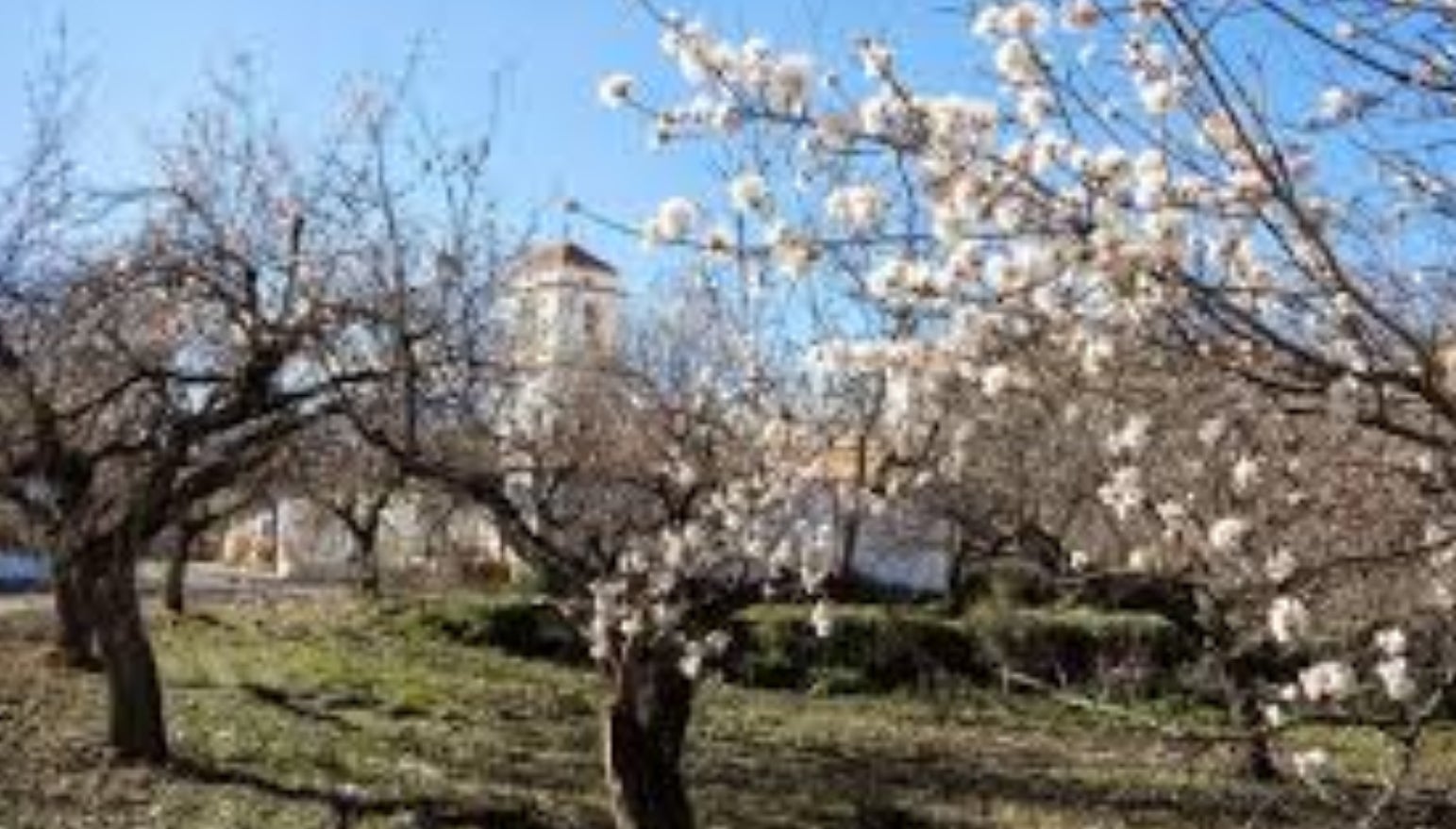 Benitagla cuenta con un importante patrimonio histórico y cultural.