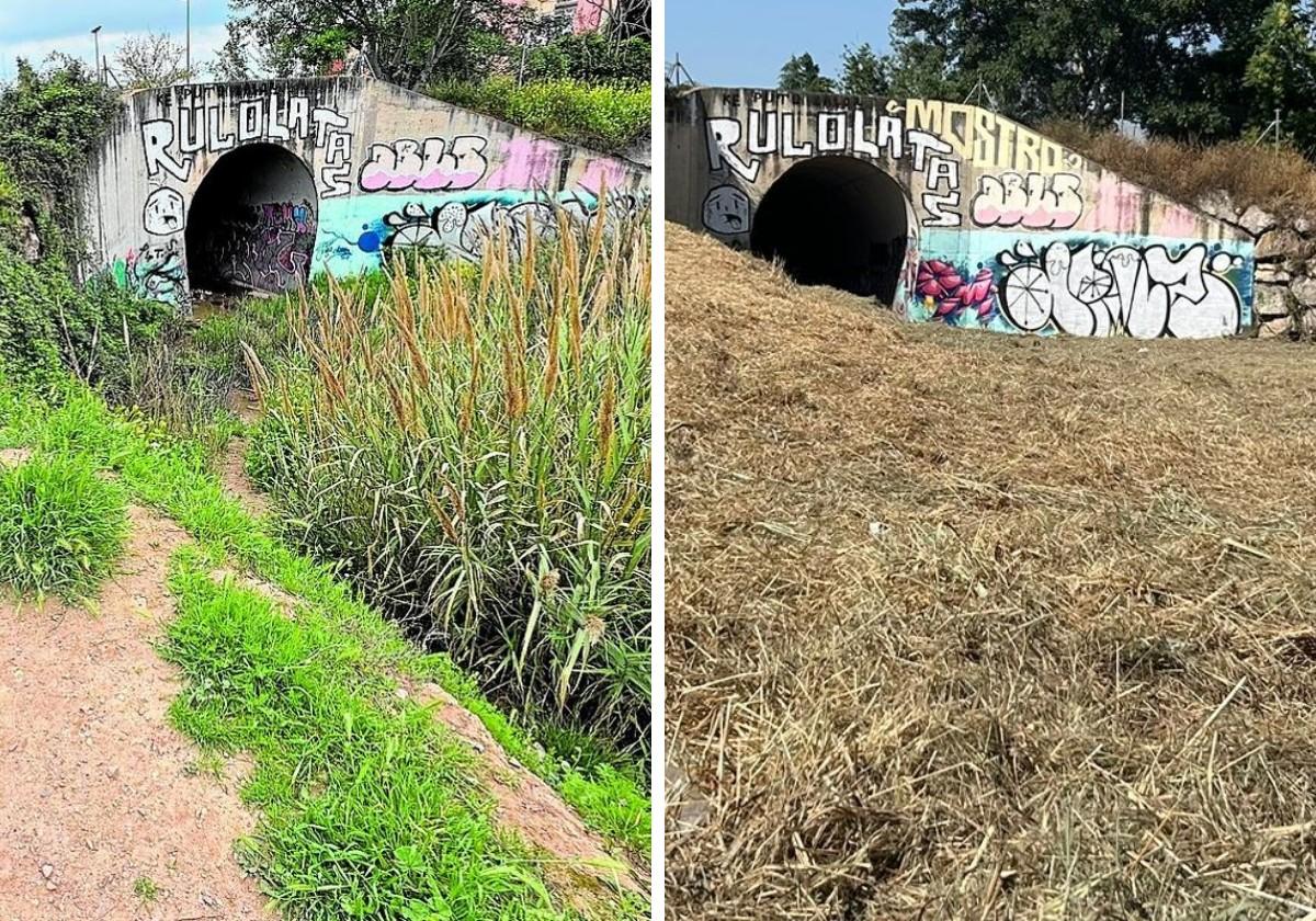 Granada limpia el río que estaba lleno de marihuana, chozas y muebles | ideal