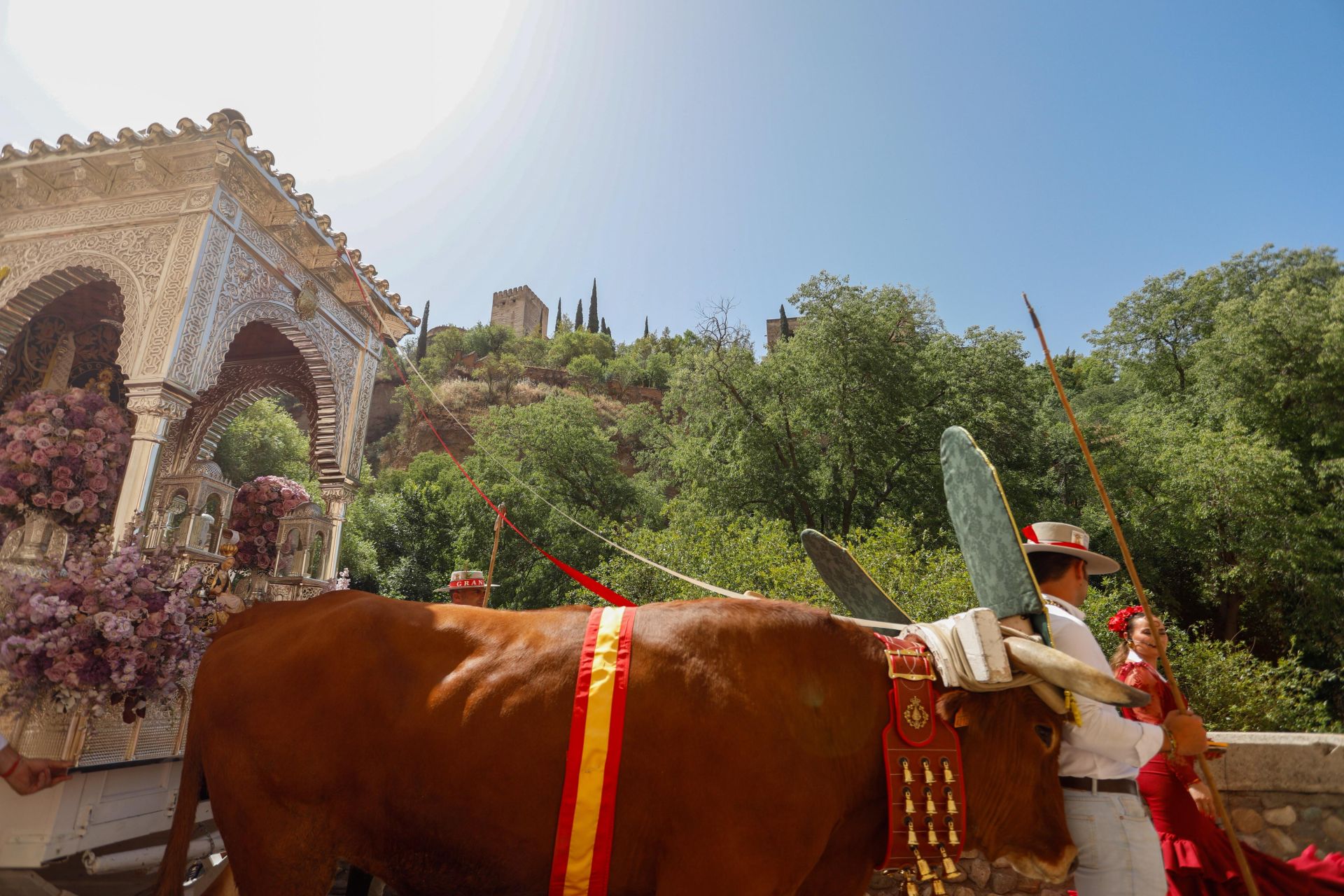 Granada pone en marcha 700 peregrinos y 55 carretas para El Rocío