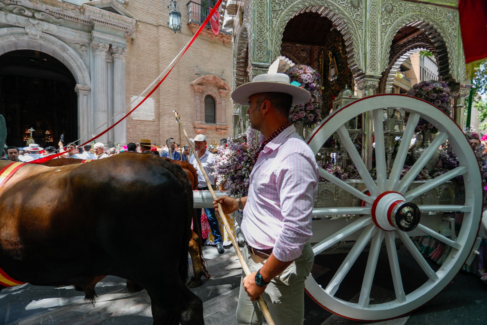 Granada pone en marcha 700 peregrinos y 55 carretas para El Rocío