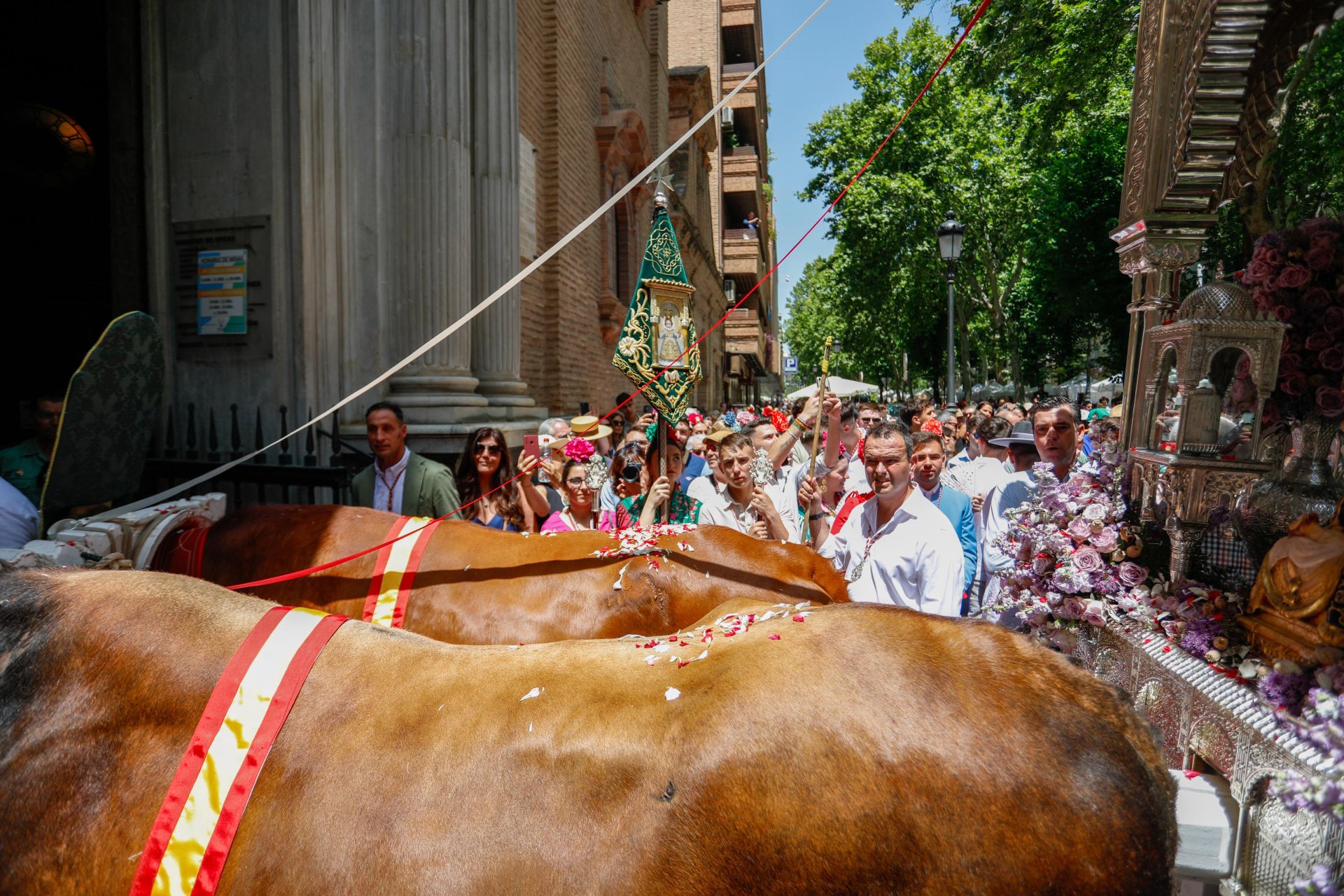 Granada pone en marcha 700 peregrinos y 55 carretas para El Rocío