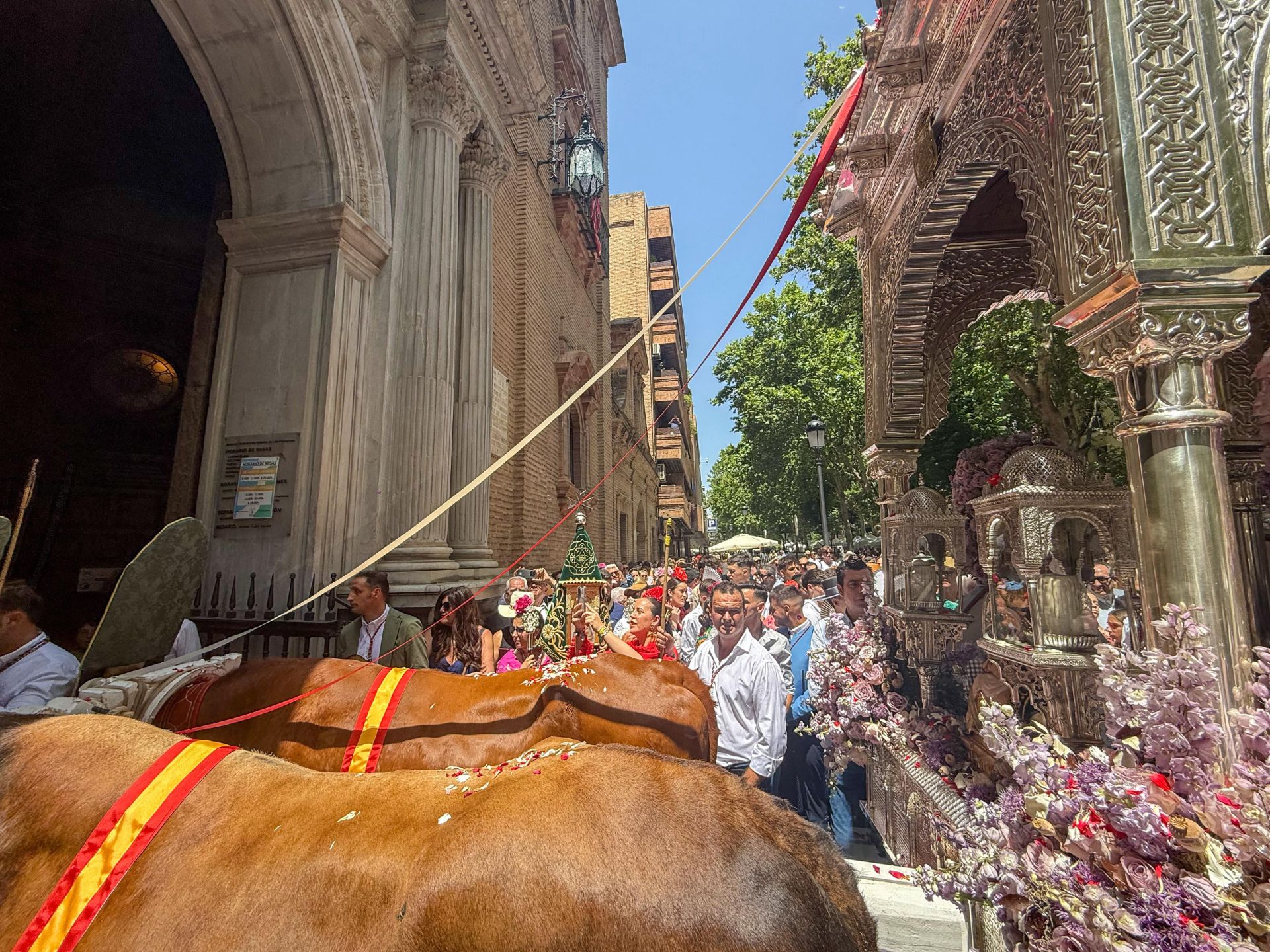 Granada pone en marcha 700 peregrinos y 55 carretas para El Rocío