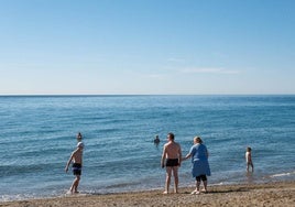 La presencia de una mobula en la playa de Garrucha ha generado interés en las redes sociales.