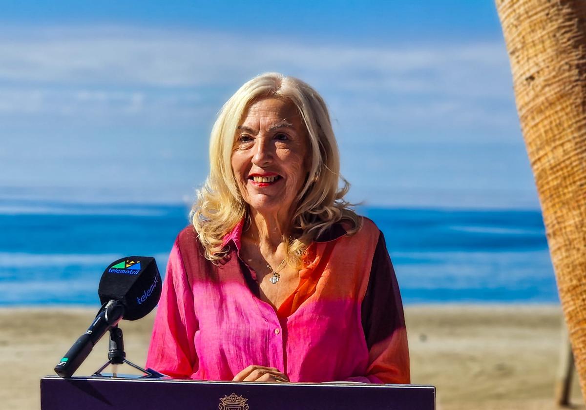 María ángeles escámez, nueva concejal de urbanismo de motril | ideal