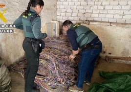 Localización del cableado de cobre en la finca de Ébeda.